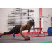 Слэмболл Body Solid 13,6 кг (30 lbs)