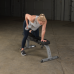 Регулируемая скамья Body Solid GFI21