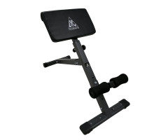 Гиперэкстензия DFC Homegym SJ1006